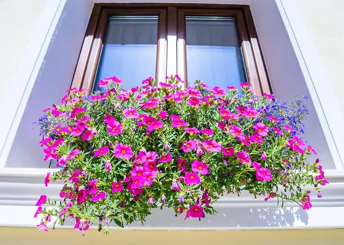 Casa Brainer