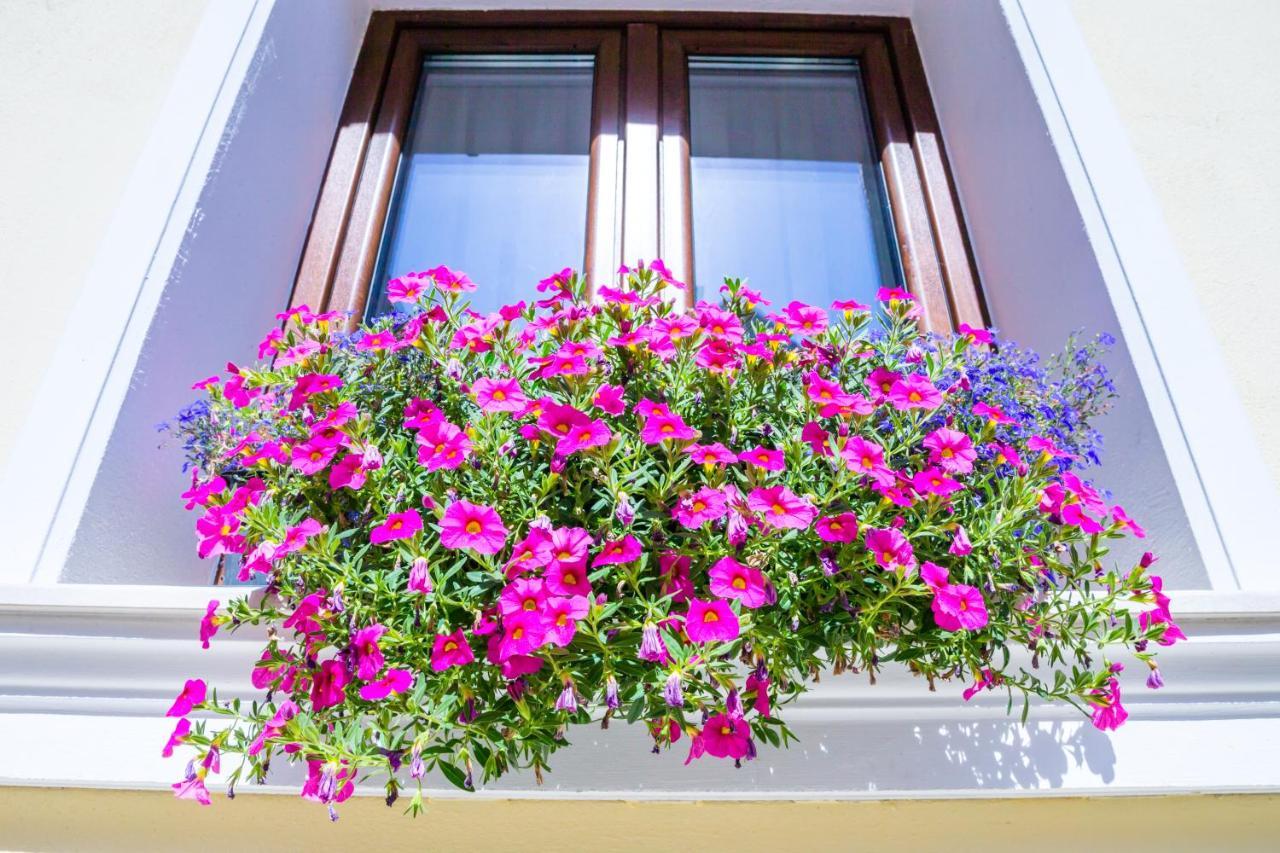 Apartment Casa Brainer
